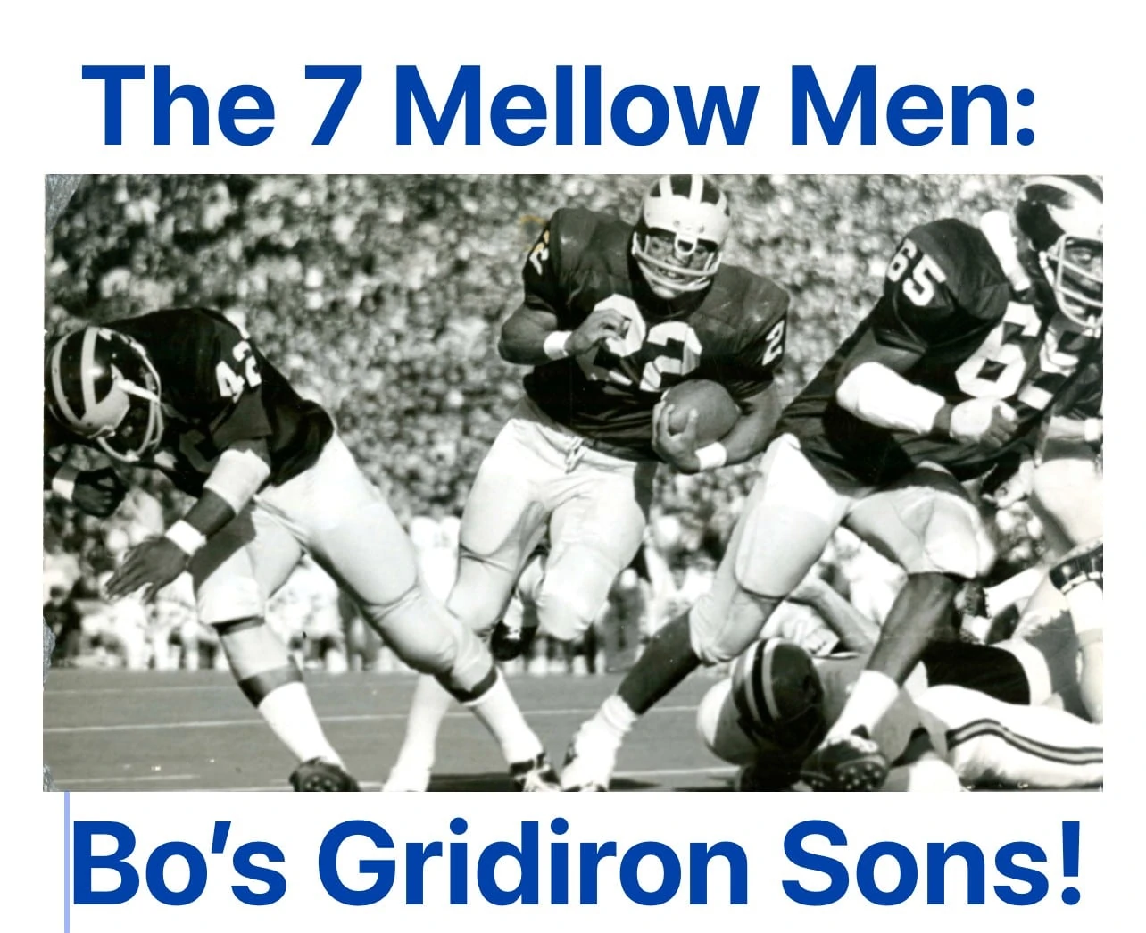 The 7 Mellow Men